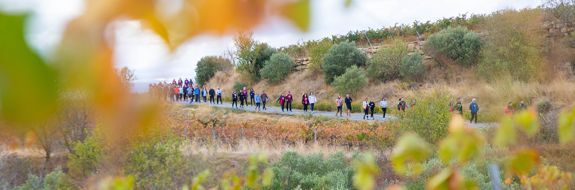 Clasificaciones Carreras Rioja Alavesa Wine Run 2025