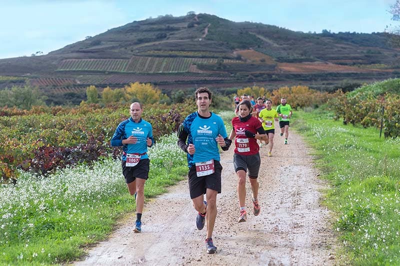Wine Run Rioja Alavesa