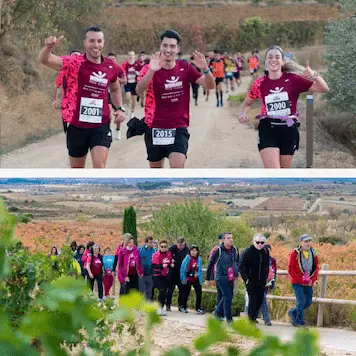 Wine Run Rioja Alavesa